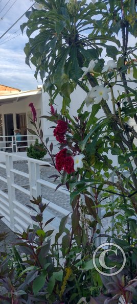 IMG_20251130_164036978_HDR