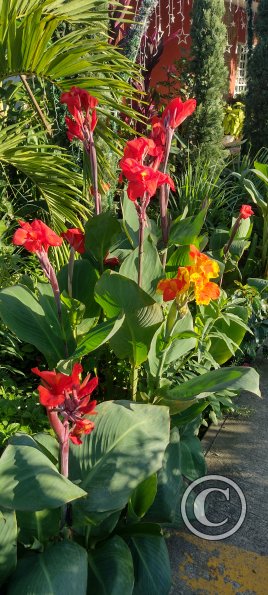 IMG_20251130_164121554_HDR