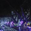 IMG_20251207_204107766
