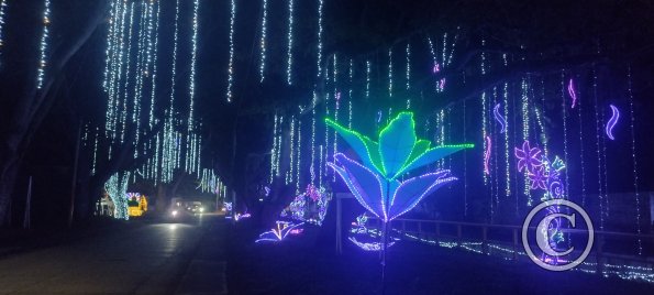 IMG_20251220_190006912_HDR