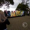 IMG_20201101_153346_295