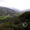 IMG_20201101_153910_995