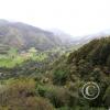 IMG_20201101_153915_618