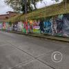 IMG_20211122_094818683_HDR