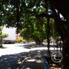 IMG_20210209_105701