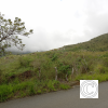 IMG_20211025_101510