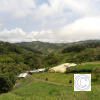 IMG_20211025_124951