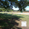 IMG_20210719_093546
