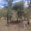 La Siembra de los Arboles, Parque El Sueno (2)