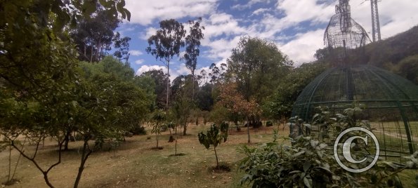 La Siembra de los Arboles, Parque El Sueno (9)