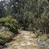 Path along Rio Ambato (10)