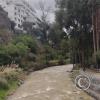 Path along Rio Ambato (4)