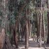 Path along Rio Ambato (6)