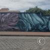 IMG_20221114_100121605_HDR