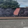 IMG_20221114_100150264_HDR