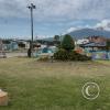 IMG_20221114_104642908_HDR