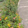 IMG_20221114_105505156