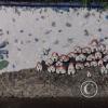 Mural on Av El Salado near Via a Banos (6)