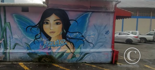 Mural on Luis A Martinez near 12 de Noviembre