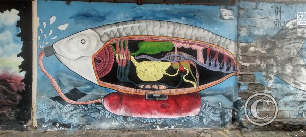 Mural on Luis A Martinez near Rafael Vieira (4)