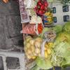 Giant cabbage, common here