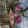 Hummingbird statue at the Mirador (2)