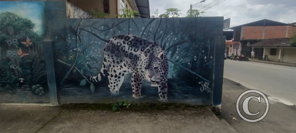 Mural on Luis Imaicela near Sor Francisca (8)