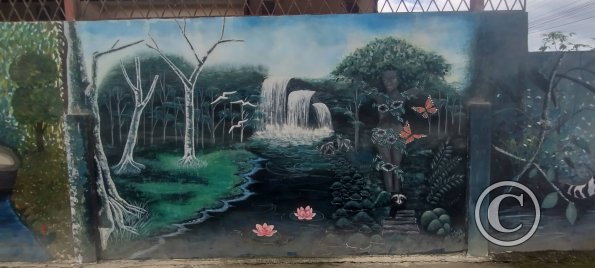Mural on Luis Imaicela near Sor Francisca (9)