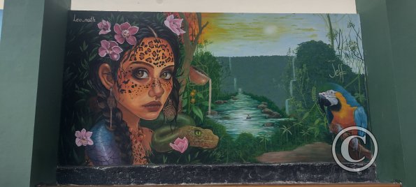 Mural on Luis Imaicela, small basketball stadium (11)