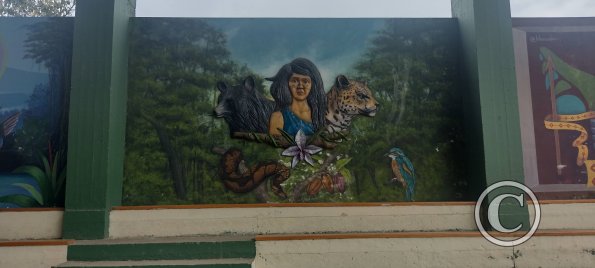 Mural on Luis Imaicela, small basketball stadium (8)