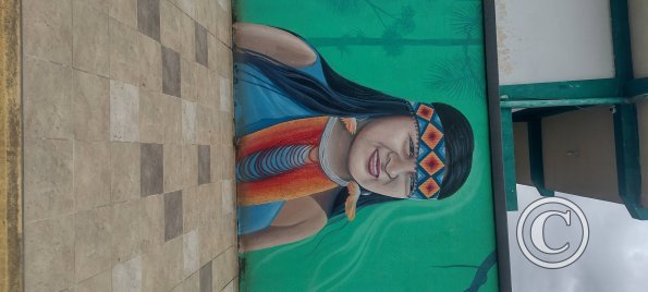 Mural on Mayor Rene Ulloa near Luis Imaicela (16)