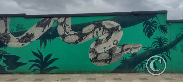 Mural on Mayor Rene Ulloa near Luis Imaicela (3)