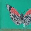 Mural on Mayor Rene Ulloa near Luis Imaicela (6)