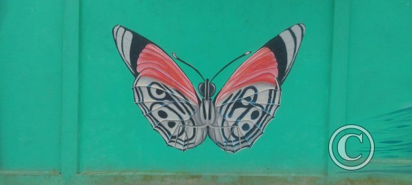 Mural on Mayor Rene Ulloa near Luis Imaicela (6)