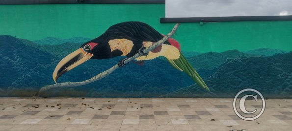 Mural on Mayor Rene Ulloa near Luis Imaicela (8)