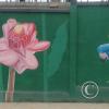 Mural on Mayor Rene Ulloa near Luis Imaicela (9)