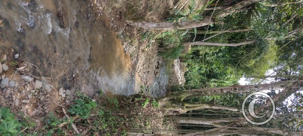 Stream at E45 and Benigno Cruz