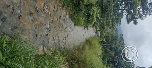 Stream at E45 and Sor Francisca
