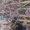 Jardin Botanico - El Gato - 1km past the river from downtown (10)