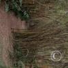 Jardin Botanico - El Gato - 1km past the river from downtown (24)