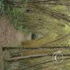 Jardin Botanico - El Gato - 1km past the river from downtown (25)