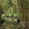 Jardin Botanico - El Gato - 1km past the river from downtown (26)