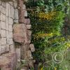 Jardin Botanico - El Gato - 1km past the river from downtown (3)