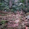 Jardin Botanico - El Gato - 1km past the river from downtown (30)