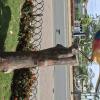 Parque Ciudadela Ecuador along Av de la Republica at Pinas (9)