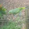 IMG_20230913_140954834