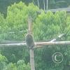 IMG_20230913_150044324