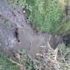 A stream off Rio Machingara at Calle 13 de Junio near Sarances