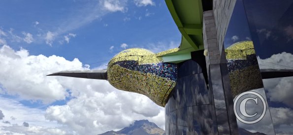 El Colibre