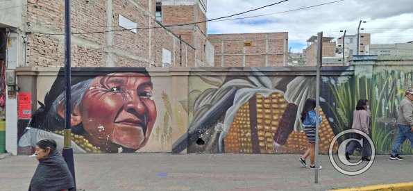 Mural at Sucre and Juan Montalvo (7)